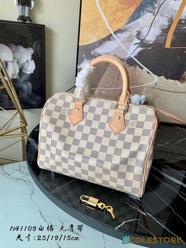 LV Speedy Damier M41374 Size 25cm - 1