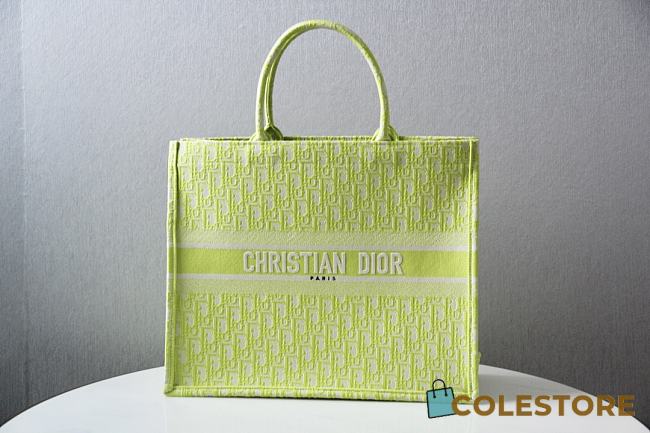 Dior Book Tote Embroidery In Green Size 42cm - 1
