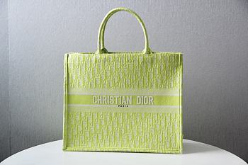 Dior Book Tote Embroidery In Green Size 42cm