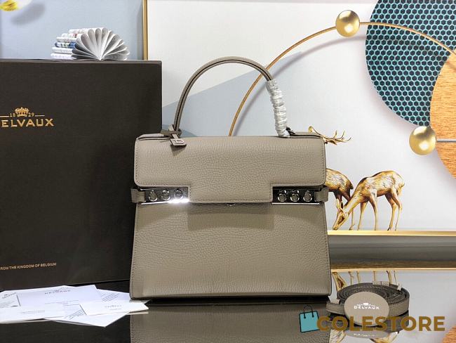 Delvaux Tempete Small In Grey Supple Calf 27.5cm - 1