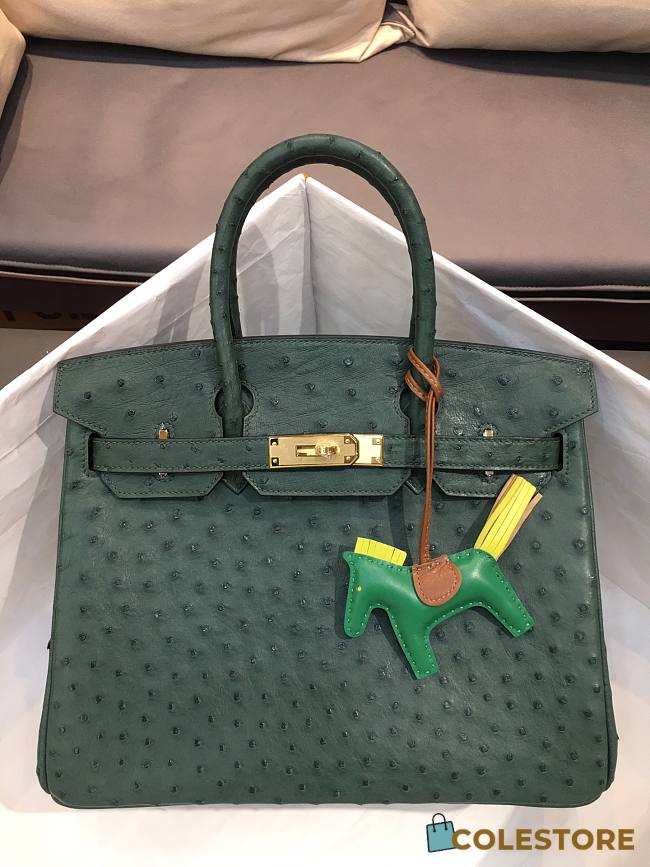 Hermes Birkin Ostrich Leather Blue Forest |30cm  - 1