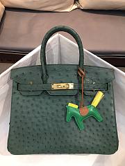 Hermes Birkin Ostrich Leather Blue Forest |30cm  - 1