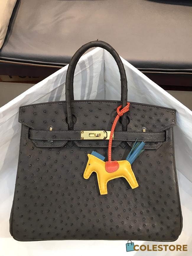 Hermes Birkin Ostrich Leather Black |30cm  - 1
