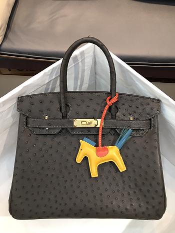 Hermes Birkin Ostrich Leather Black |30cm 
