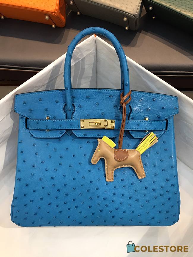 hermes birkin ostrich bag