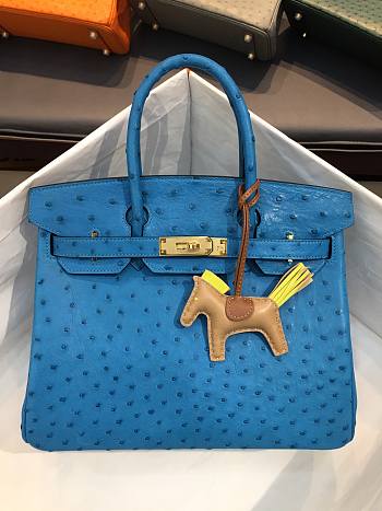 Hermes Birkin Ostrich Leather Blue |30cm 