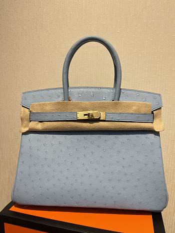 Hermes Birkin Ostrich Leather Grey Forest |30cm