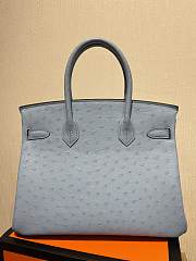 Hermes Birkin Ostrich Leather Grey Forest |30cm - 5