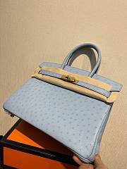 Hermes Birkin Ostrich Leather Grey Forest |30cm - 4