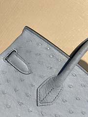 Hermes Birkin Ostrich Leather Grey Forest |30cm - 2