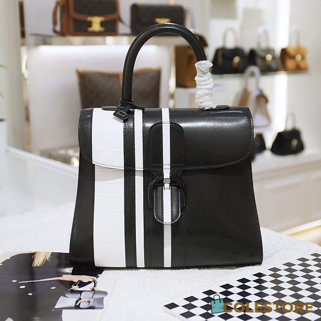 Delvaux Brillant Calfskin Black and White Size 28cm - 1