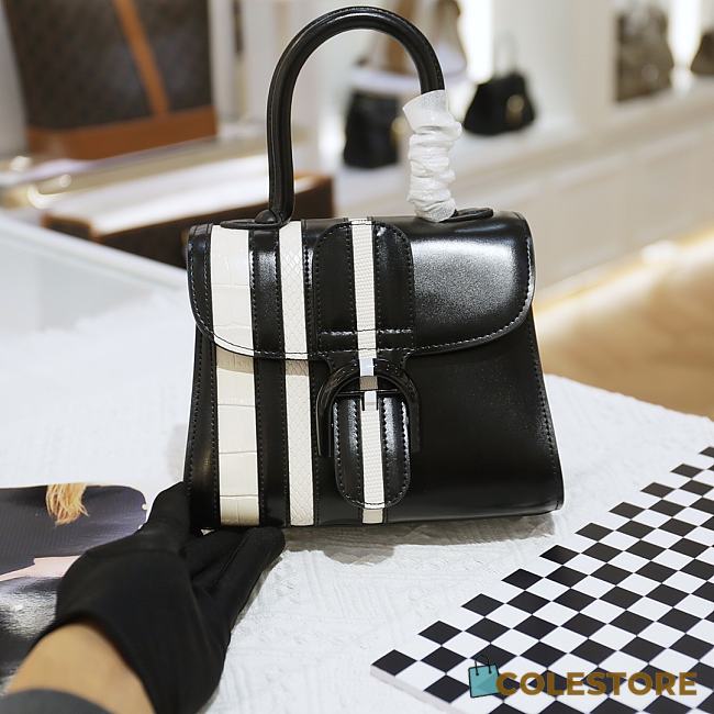 Delvaux Brillant Calfskin Black and White Size 20cm  - 1