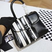 Delvaux Brillant Calfskin Black and White Size 20cm  - 6