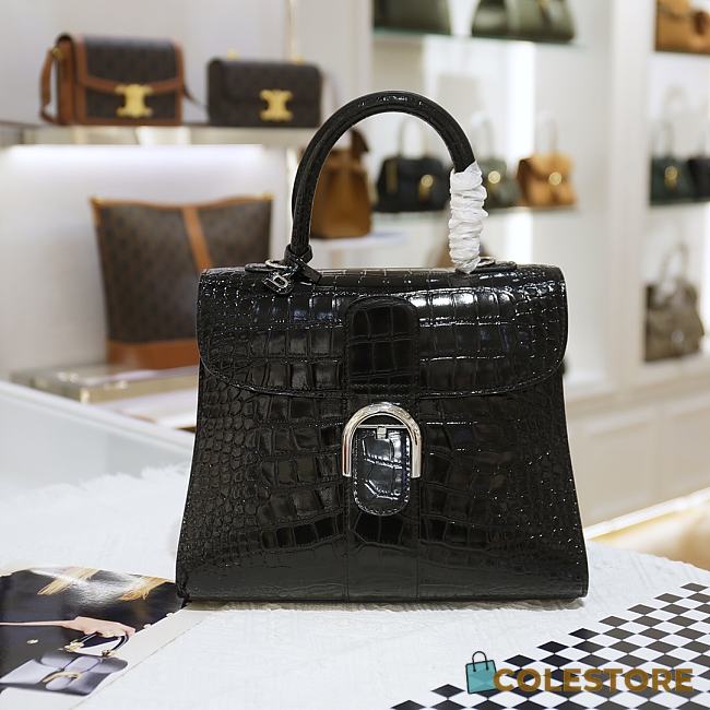 Delvaux Brillant Calfskin Pattern Leather Size 28cm  - 1