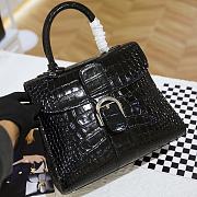 Delvaux Brillant Calfskin Pattern Leather Size 28cm  - 5