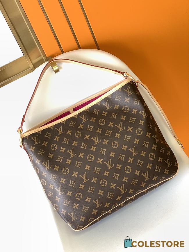 Louis Vuitton Delightful GM M40354 Size 46x30x13cm - 1