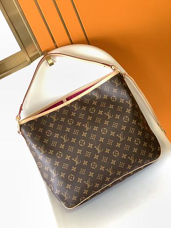 Louis Vuitton Delightful GM M40354 Size 46x30x13cm