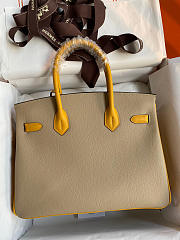 Hermes Birkin Epsome Leather Size 30cm - 2