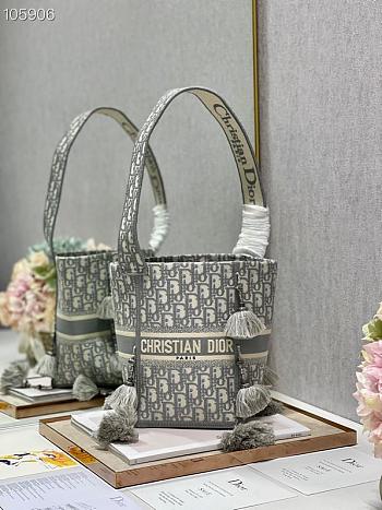 Dior D-Bubble  Bucket Bag Size 25cm 