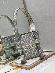 Dior D-Bubble  Bucket Bag Size 25cm  - 4