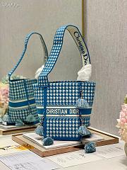 Dior D-Bubble Bucket Bag Embroidery Size 25cm - 1