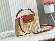 Louis Vuitton Capucine Straw Bag Size 27cm - 5
