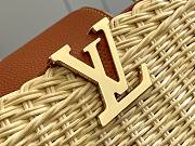 Louis Vuitton Capucine Straw Bag Size 27cm - 3