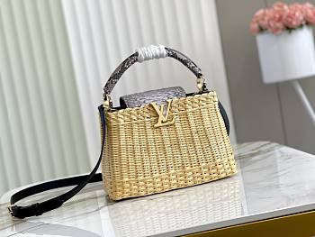 Louis Vuitton Capucine Straw Python Trim Size 20cm