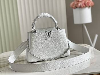 Louis Vuitton Capucine In Silver Size 20cm