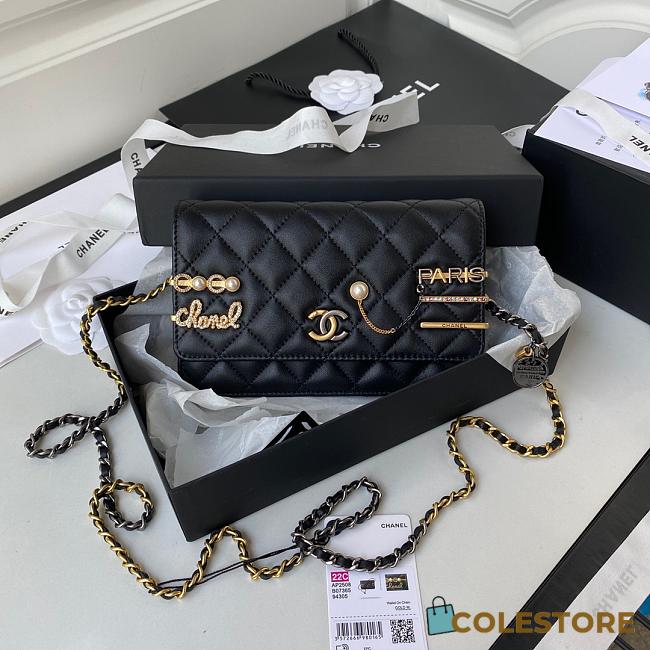 Chanel Symbolic WOC Size 22cm - 1