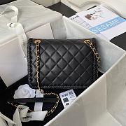 Chanel Braided Calfskin Flap Bag Size 22cm - 5