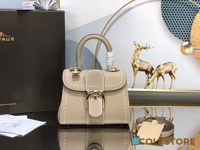 Delvaux Le Brillant Beige Handbag Size 20cm - 1