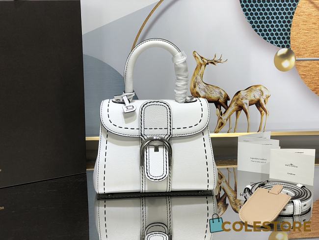 Delvaux Le Brillant White Handbag Size 20cm - 1