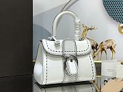 Delvaux Le Brillant White Handbag Size 20cm - 4