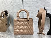 Dior Lady D-Joy Bag Nude 20cm - 6