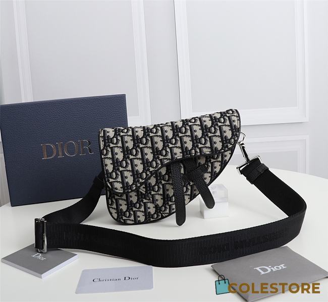 Dior 1ADPO191 saddle bag 21cm - 1