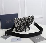 Dior 1ADPO191 saddle bag 21cm - 1