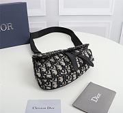 Dior 1ADPO191 saddle bag 21cm - 2