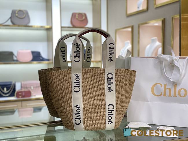 Chloe Beach And Straw Bag 28cm - 1