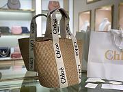 Chloe Beach And Straw Bag 28cm - 4