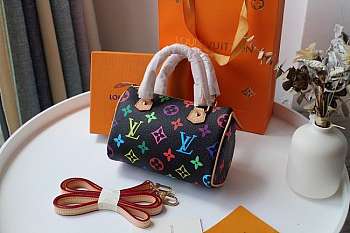Louis Vuiiton Speedy Mini Multicolor Black 15cm
