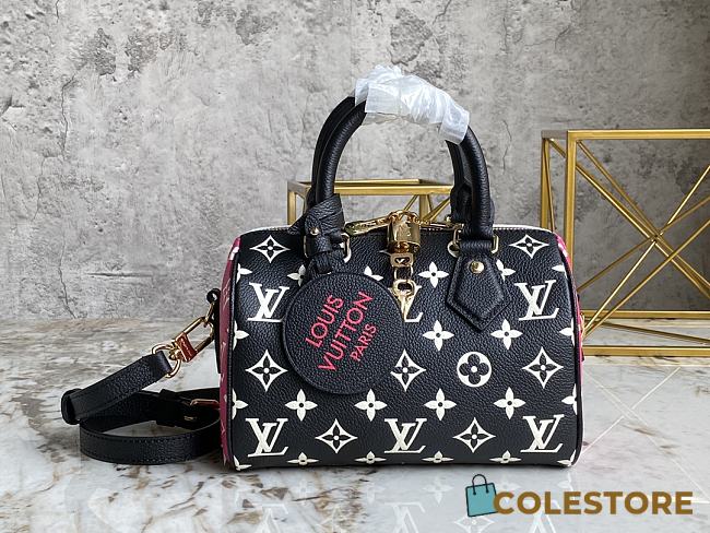 Louis Vuitton Speedy Black and white 20cm - 1