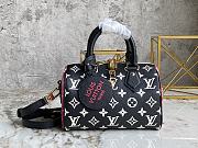 Louis Vuitton Speedy Black and white 20cm - 1