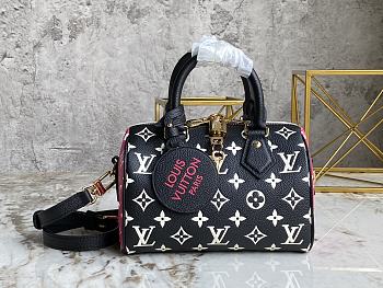 Louis Vuitton Speedy Black and white 20cm