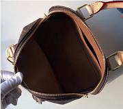 Louis Vuitton Alma BB Monogram Size 25cm  - 6