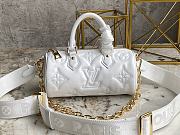 Louis Vuiiton Papillon BB White 20cm - 1