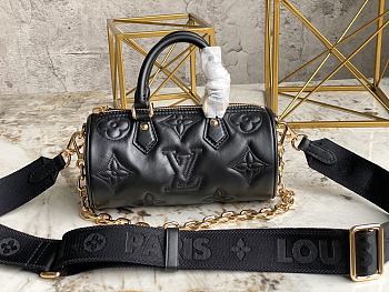 Louis Vuiiton Papillon BB Black 20cm