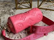Louis Vuiiton Papillon BB Pink 20cm - 3