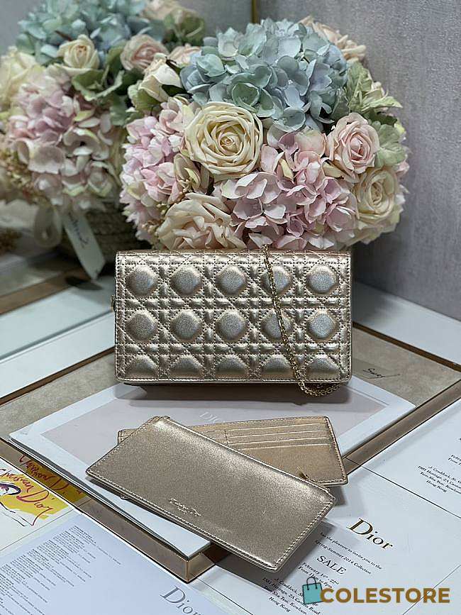 Dior Caro Wallet Chain Gold Color 21cm - 1