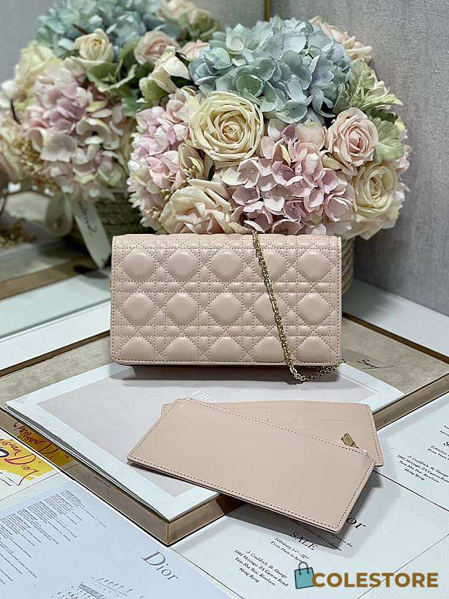 Dior Caro Wallet Chain Gold Color Beige - 1